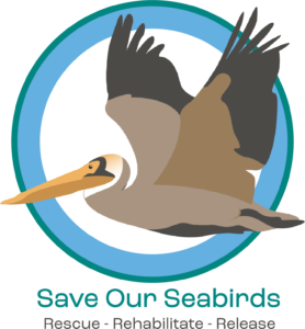 Save Our Seabirds